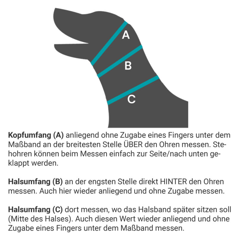 Hundehalsband Ranger magenta, Klickverschluss, 5cm breit – Bild 2