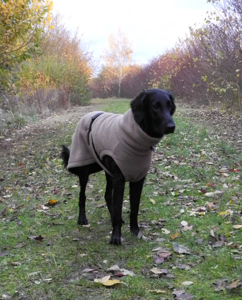 Wärmender HundeBademantel DRY & WARM, außen Fleece/innen Frottee – Bild 8