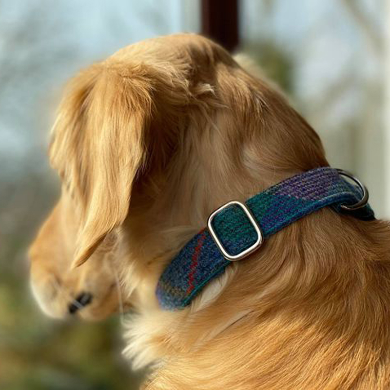 Harris Tweed Halsband - Blau/Grün mit Lederpolsterung – Bild 3