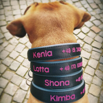 Bestickte Halsbänder