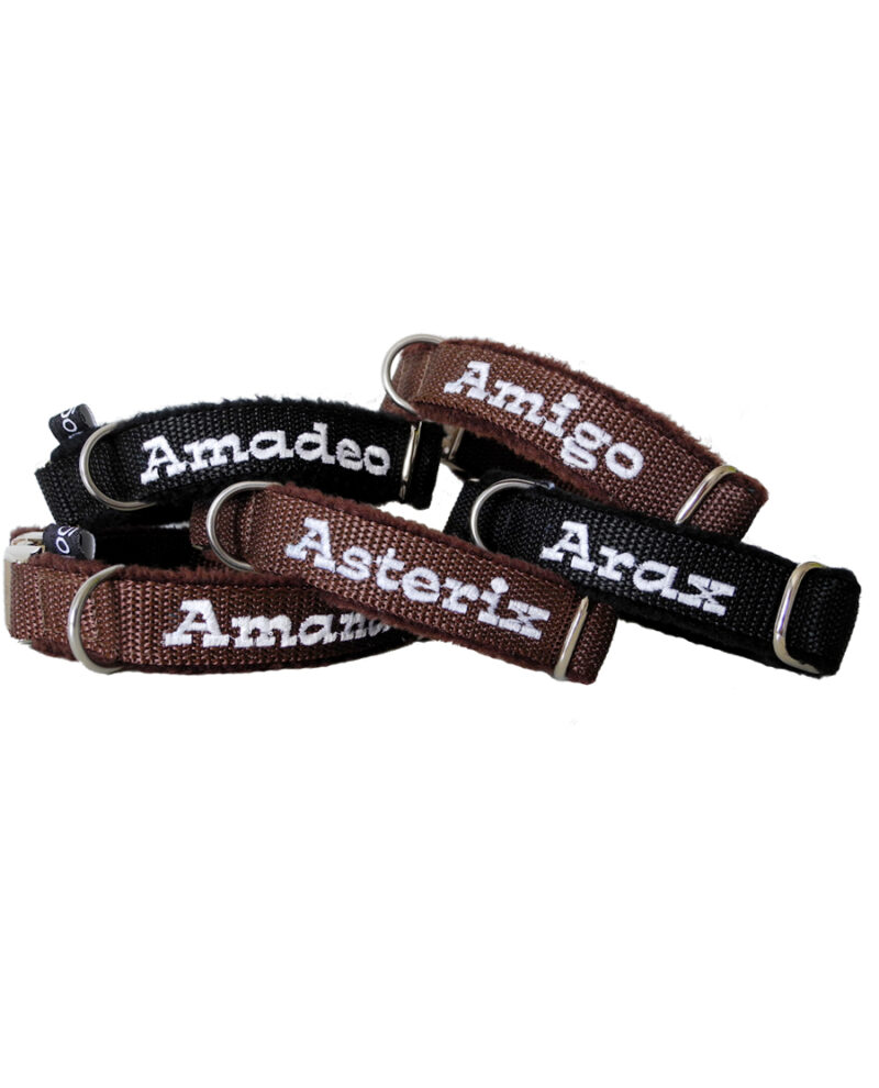 Gepolstertes Welpen-Stickhalsband